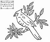 Embroidery Patterns Bird Birds Cardinal Transfer Knots French Coloring Choose Board Popular Library Clipart sketch template
