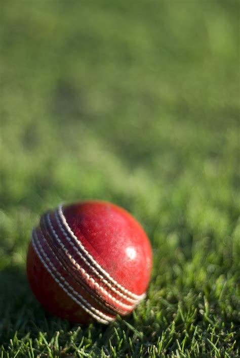 stock photo  leather cricket ball freeimageslive