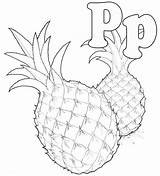 Coloring Pineapple Popular sketch template