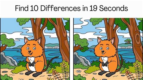spot  difference   spot   differences   seconds