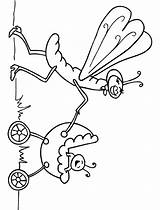 Insectes Colorat Insecte Insekti Insetti Insetto Planse P29 Bojanke Gratuit Crtež šest Primiiani Desene Stampa Coloratutto Gandaci sketch template