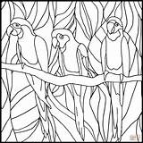 Stained Glass Coloring Parrots Pages Drawing Printable sketch template