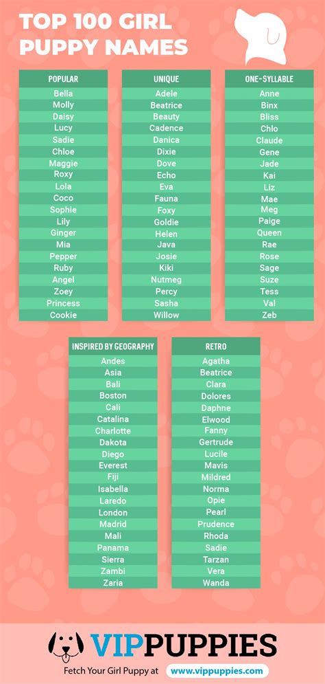 girl puppy names  dog names  girls vip puppies female dog names dog names puppy