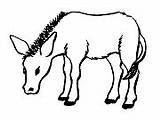 Mule Coloring Printable Donkey Activities sketch template