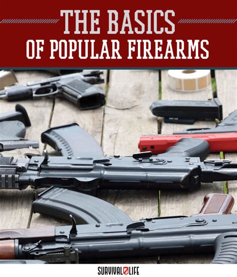 types  firearms american gun association