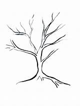 Tree Simple Easy Family Draw Leaves Template Drawing Trees Branches Bare Sketch Coloring Project Outline Chatelaine Printable Drawings Three Roots sketch template