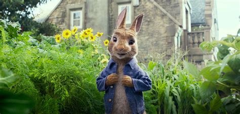 peter rabbit review  cool   charming collider