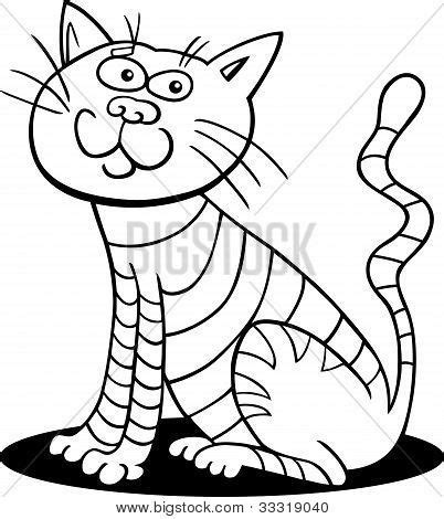 cartoon illustration  sitting cat  coloring book poster