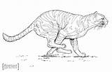 Serval Mammals sketch template