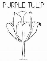 Coloring Purple Tulip Drawing Saxifrage Flower Template Sketch sketch template