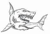 Shark Coloring Megalodon Pages Jaws Drawing Hammerhead Scary Sketch Great Whale Outline Sharks Fish Print Color Kids Hungry Tiger Colouring sketch template