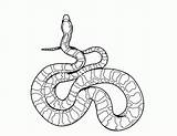 Snake Coloring Pages Kids Printable Snakes Rattlesnake Drawing Serpent Realistic Line Colouring Color Python Ninjago Anaconda Print Diamondback Clipart Sheet sketch template