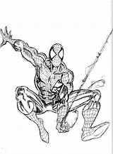 Spiderman Colorier Superheroes Imprimé Kleurplaten sketch template