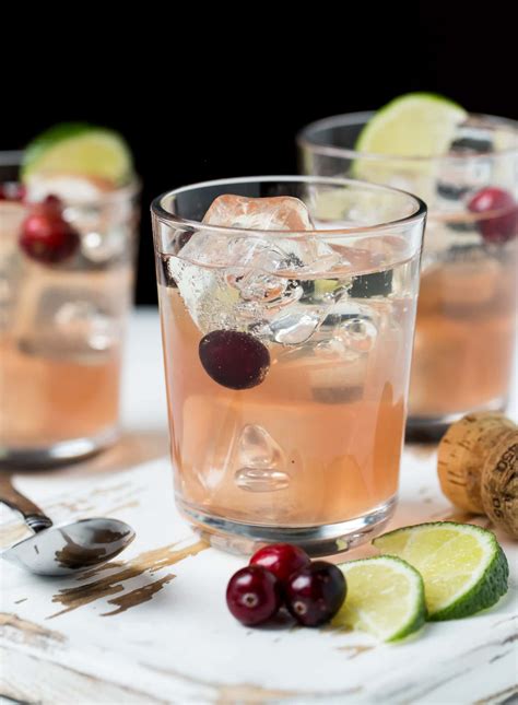 cocktail recipes  gin  summer simple alcoholic beverages