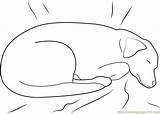Coloring Dog Sleeping Bed Pages Coloringpages101 sketch template