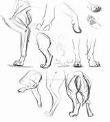 Dog Legs Feet Munchkin Mad Sketches Deviantart Anatomy Animal sketch template
