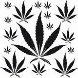 Leaf Weed Marijuana Clip Clipart Drawing Pot Vector Sketch Drawings Cannabis Stencil Tattoos Tattoo Cliparts Small Pic Hemp Weeds Perfect sketch template
