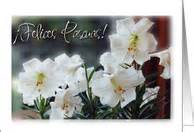 spanish easter cards  greeting card universe