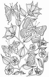 Coloring Butterflies Pages Butterfly Welshpixie Deviantart Adult Adults Colouring Dessin Papillon Vlinders Mariposas Print Amazing Book Adultes Mandalas Coloriage Advanced sketch template