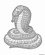 Zentangle Adultos Serpent Ausmalen sketch template