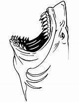 Sharks Jaws Coloringtop Library sketch template