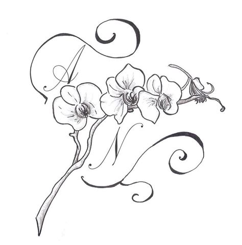 orchid tattoo orchid tattoo orchid flower tattoos colouring art therapy