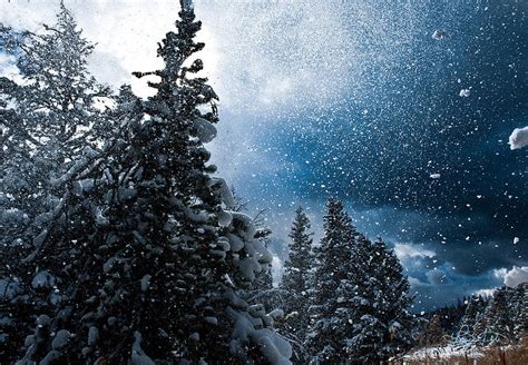 snow flurry photograph  renee sullivan
