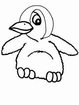 Penguin Coloring Pages Cartoon Clipart Clip sketch template