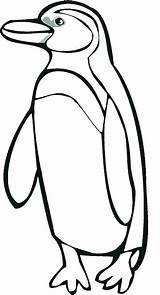 Coloring Pages Penguin Baby Getcolorings Printable Penguins sketch template