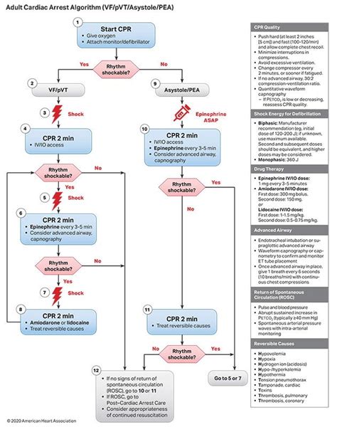 Acls Printable Algorithms Free Printable Templates