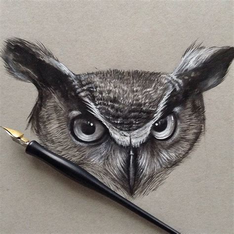 design stack  blog  art design  architecture realistic pencil animal drawings