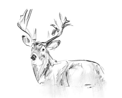 winter deer wall art drawing etsy