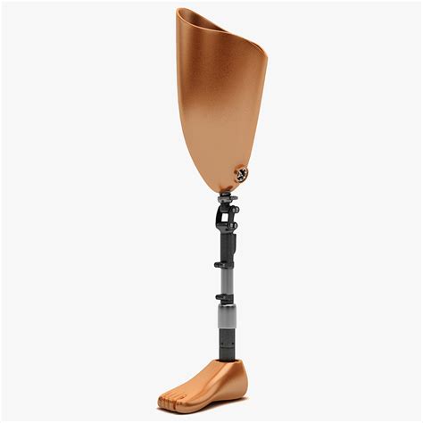 prosthetic leg ds