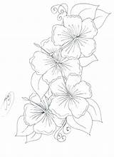 Flower Coloring Pages Beautiful Complex Hibiscus Realistic Flowers Getcolorings Col Getdrawings sketch template