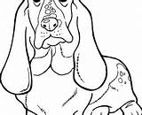 Basset Hound Coloring 220px 59kb sketch template