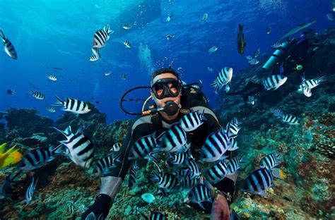 diving  fiji travel insider