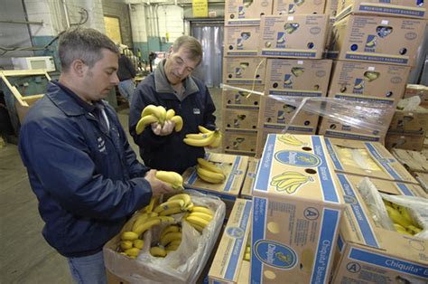 new vision means better inspection services for fruits and vegetables