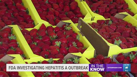 Fresh Organic Strawberries Linked To Possible Hepatitis A Outbreak Fda