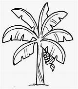 Gambar Putih Sketsa Tumbuhan Pokok Pohon Mewarnai Daun Tanaman Depan Dunia Hias Cikgufareez Ide Inspirasi Hijau sketch template