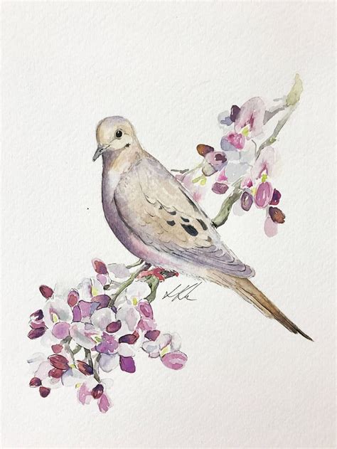 mourning dove watercolor painting bird drawings dove painting dove drawing