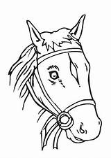 Pferdekopf Ausmalbilder Pferde Malvorlagen Ausmalen Süsser Suesser sketch template
