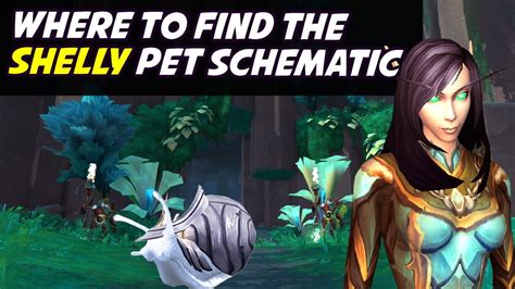 shelly location pet schematic youtube