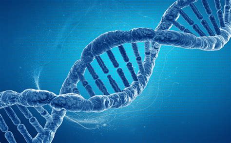 scientists reveal catalog  human genetic variation