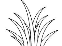 grass coloring pages ideas coloring pages grass coloring pictures