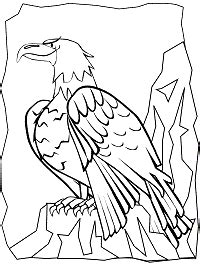 eagles coloring pages  printable activities