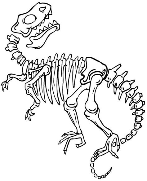 dinosaur bones printable coloring pages skelet tekeningen knutselen