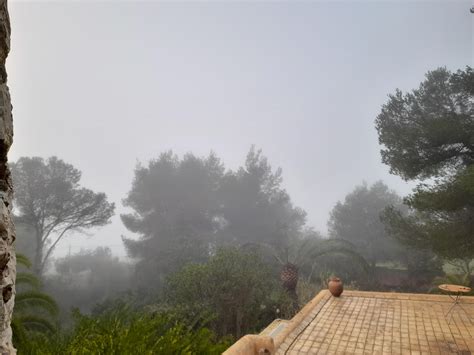 eilmeldung ibiza und palma flughaefen im nebel ibiza heute