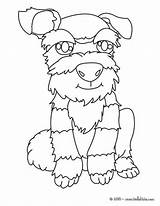 Terrier Hellokids Coloring Pages Dog Print Color Online sketch template