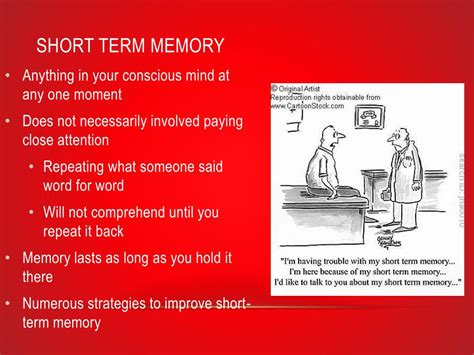 short  long term memory powerpoint
