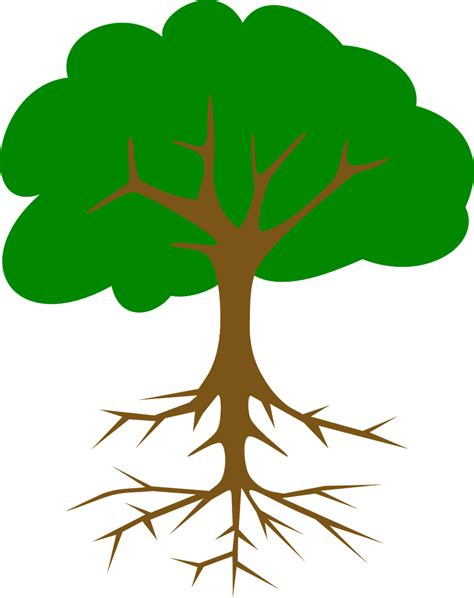 verde arbol raices sale graficos vectoriales gratis en pixabay